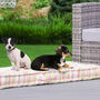 Pastel Plaid Padded Cotton Dog Bed, thumbnail 1 of 9