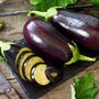 Vegetable Plants Aubergine 'Moneymaker' Plug Pack, thumbnail 6 of 12