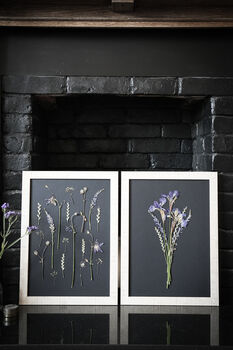 A3 Pressed Flower Art – Twilight Iris Botanical Frame In Sand, 5 of 7