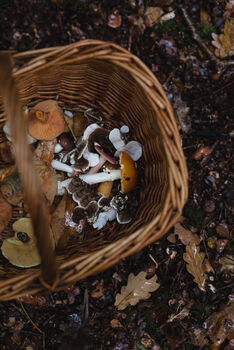 Foraging Experience Walk For Two In The South Downs, 7 of 12