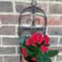 Garden Wall Planter And Flower Pot Holder Garden Decor Metal, thumbnail 6 of 9