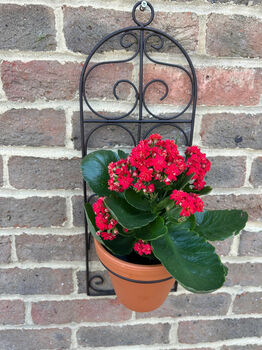 Garden Wall Planter And Flower Pot Holder Garden Decor Metal, 6 of 9