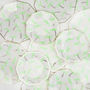 Neon And Gold Palm Tree Pattern Party Plates, thumbnail 2 of 2