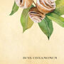 Botanical Cinnamon Roll Art Print, thumbnail 7 of 10