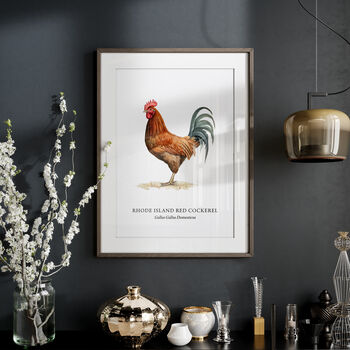 Rhode Island Red Cockerel Bird Print, 4 of 6