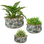 Set Of Three Fiorella Teal Botanical Planters, thumbnail 2 of 6
