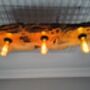 Live Edge Olive Wood Slab Pendant Light, thumbnail 4 of 5