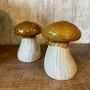 Mushroom Salt And Pepper Cruet Set, thumbnail 1 of 2