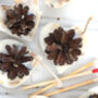 Heart Shaped Pine Cone Firelighters, thumbnail 5 of 5