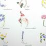 Flower Alphabet Botanical Print, thumbnail 8 of 9