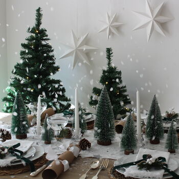 Winter Wonderland Festive Christmas Tablescape, 2 of 11