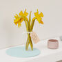 Personalised Daffodil Bouquet Keepsake Gift For Her, thumbnail 1 of 2