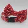Red And White Hearts Dog Bow Tie, thumbnail 4 of 7