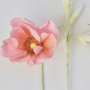 Peachy Paper Anemone Flower, 3 of 4