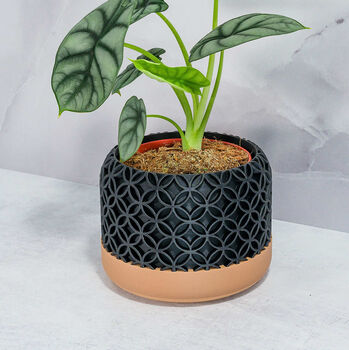Carbon Blossom Planter, 4 of 4