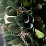 Personalised Stockbridge Floral Autumn Wreath, thumbnail 4 of 5