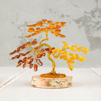 Luxury Baltic Amber Bonsai Tree, 4 of 4