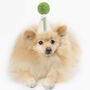 Custom Age Or Letter Almond And Moss Green Party Hat, thumbnail 1 of 5