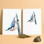 Inky Nuthatch Illustration Print, thumbnail 4 of 12