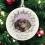 Personalised Christmas Weimaraner Break Through, thumbnail 3 of 10