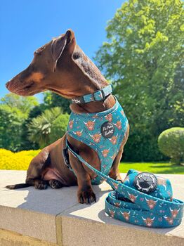 Happy Highland Cow Dog Harness, 3 of 12