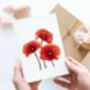Illustrated Poppy Greeting Card, thumbnail 2 of 2