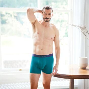 Men's 'Warm Spice' Four Pack Bamboo Trunks, 3 of 7