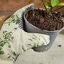 Gardening Tools Gift Set, thumbnail 4 of 4