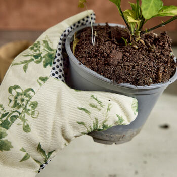 Gardening Tools Gift Set, 4 of 4