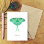 Luna Moth Butterfly A6 Greetings Cards, thumbnail 1 of 7