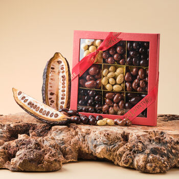 Chocolate Nut Gift; Brazils, Cashews, Almonds, Hazelnut, 2 of 8