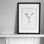 'Letter Y' Linear Illustration Print, thumbnail 1 of 7