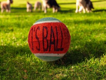 Personalised Dog Gifts Tennis Ball, 9 of 12