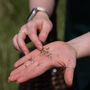 Spring Foraging Workshop For One In The South Downs, thumbnail 4 of 12