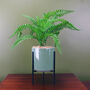 40cm Artificial Fern Plant With Planter, thumbnail 1 of 5