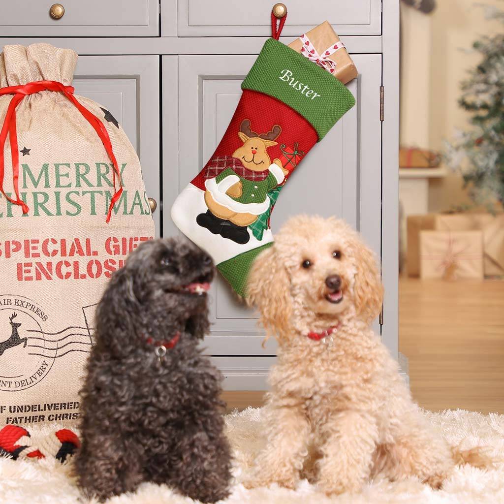 Personalised Christmas Stocking For Pets By Dibor Christmas Stocking For Pets