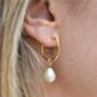Classic Fresh Water Pearl Hoop Earrings Gold Plated, thumbnail 1 of 8