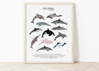 Dolphins Print, 3 of 3
