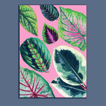 Houseplant Mixed Leaves Pink Art Print, 3 of 4