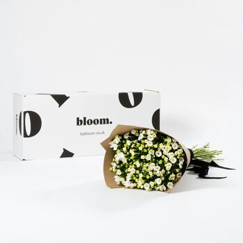 Porcelain White Bouvardia Fresh Flower Bouquet, 2 of 3