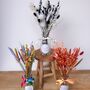 Colourful Dried Flower Arrangement With Personalised Vase Gift, thumbnail 9 of 9