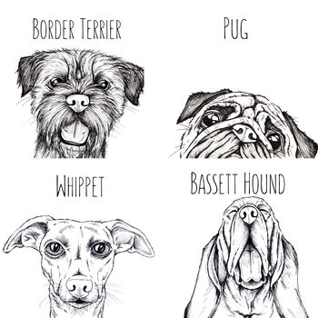 Personalised Dog Portrait, 7 of 7