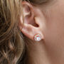 Gold Plated Round Crystal Stud Earrings, thumbnail 5 of 6