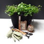Grow Your Own Herbs Gardening Gift Set, thumbnail 5 of 7