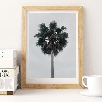 'Mono Palm' Photographic Art Gallery Wall Print, 2 of 2