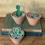 Cactus Collection Beaded Craft Kit, thumbnail 1 of 5
