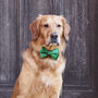 'I've Misplaced My Humans' Dog ID Tag, thumbnail 9 of 12