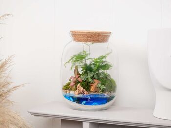 Beach Themed Terrarium Kit | 'Dominica', 11 of 12