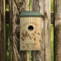 Love Birds Bird Box, thumbnail 2 of 6