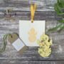 Plant A Chick Seed Paper Card, thumbnail 1 of 5